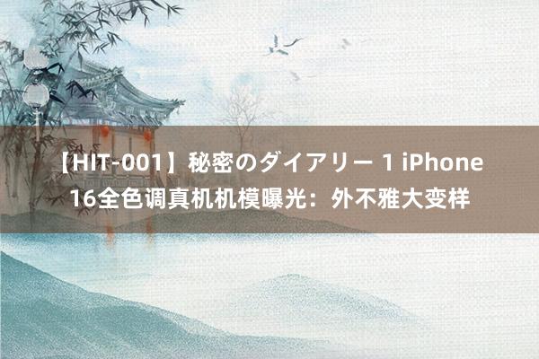 【HIT-001】秘密のダイアリー 1 iPhone 16全色调真机机模曝光：外不雅大变样