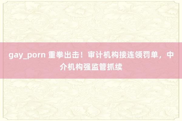 gay_porn 重拳出击！审计机构接连领罚单，中介机构强监管抓续