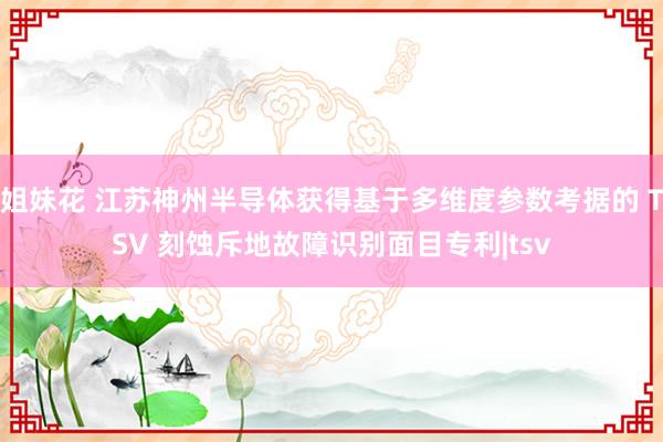 姐妹花 江苏神州半导体获得基于多维度参数考据的 TSV 刻蚀斥地故障识别面目专利|tsv