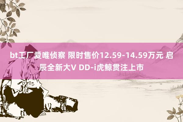 bt工厂爱唯侦察 限时售价12.59-14.59万元 启辰全新大V DD-i虎鲸贯注上市