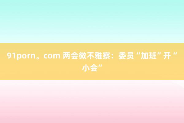 91porn。com 两会微不雅察：委员“加班”开“小会”