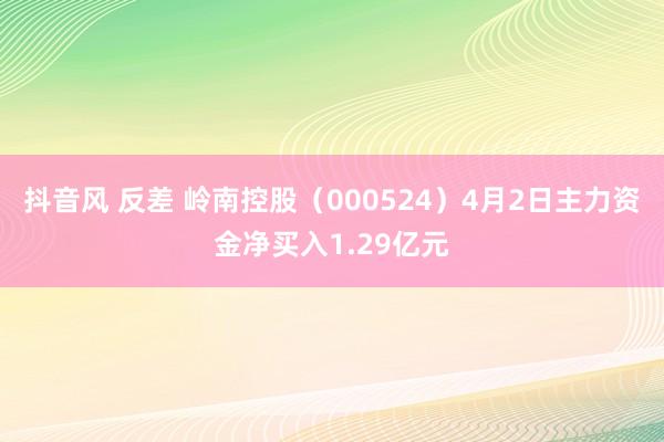 抖音风 反差 岭南控股（000524）4月2日主力资金净买入1.29亿元