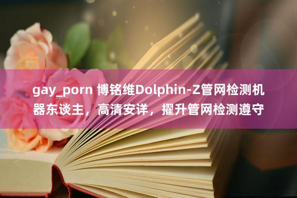 gay_porn 博铭维Dolphin-Z管网检测机器东谈主，高清安详，擢升管网检测遵守
