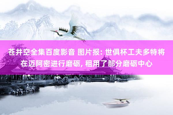 苍井空全集百度影音 图片报: 世俱杯工夫多特将在迈阿密进行磨砺， 租用了部分磨砺中心