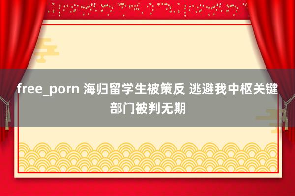 free_porn 海归留学生被策反 逃避我中枢关键部门被判无期