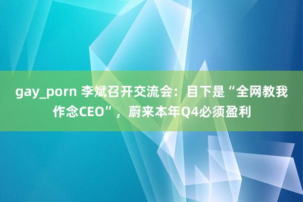 gay_porn 李斌召开交流会：目下是“全网教我作念CEO”，蔚来本年Q4必须盈利
